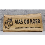 Aias on koer - Laika