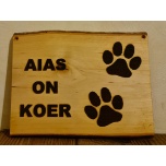 Aias on koer