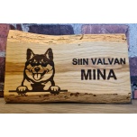 Siin valvan mina