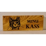 Minu kass