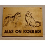 Aias on koerad- Alaska malamuudid