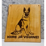 Kiire ja vihane