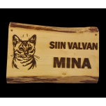 Siin valvan mina