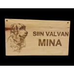 Siin valvan mina