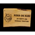 Koer on kuri ja kett on Hiinas tehtud