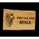 Siin valvan mina