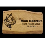 Minu terapeut