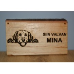 Siin valvan mina