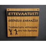 Ettevaatust! Geenius garaažis. Tööõnnetuste vältimiseks ära tule õpetama